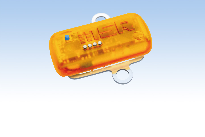 Transport Data Loggers