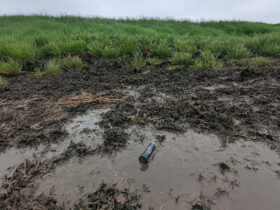 In the study, the authors present the design, calibration, and application of the “Mini Buoy”. Image source: A. Vovides