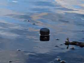 Mini Buoy, a low-cost underwater float containing an acceleration data logger for monitoring tidal inundation characteristics and current velocities derived from single-axis equilibrium acceleration