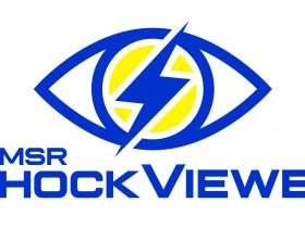 MSR ShockViewer Software Schock-Datenlogger