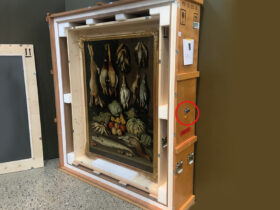 Die Datenlogger MSR165 und MSR175 werden zur Transportüberwachung auf der Aussenseite der Verpackung angebracht.