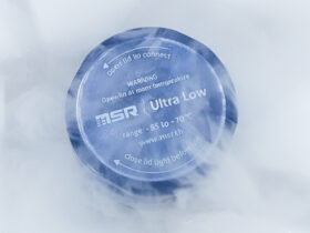 Trockeneis-Datenlogger MSR85 zur Temperaturüberwachung von Kühlketten