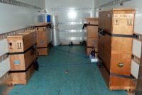 Situation on one of the lorries: Multiple MSR165 data loggers were also fastened to the floor and the walls to record the transportation stresses acting on the crates. Source: Bern University of Applied Sciences (BFH)/Bern University of the Arts (BUA)