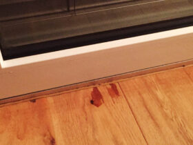 moisture damage window temperature humidity