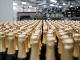 Sparkling Wine Production Food Data Logger Application